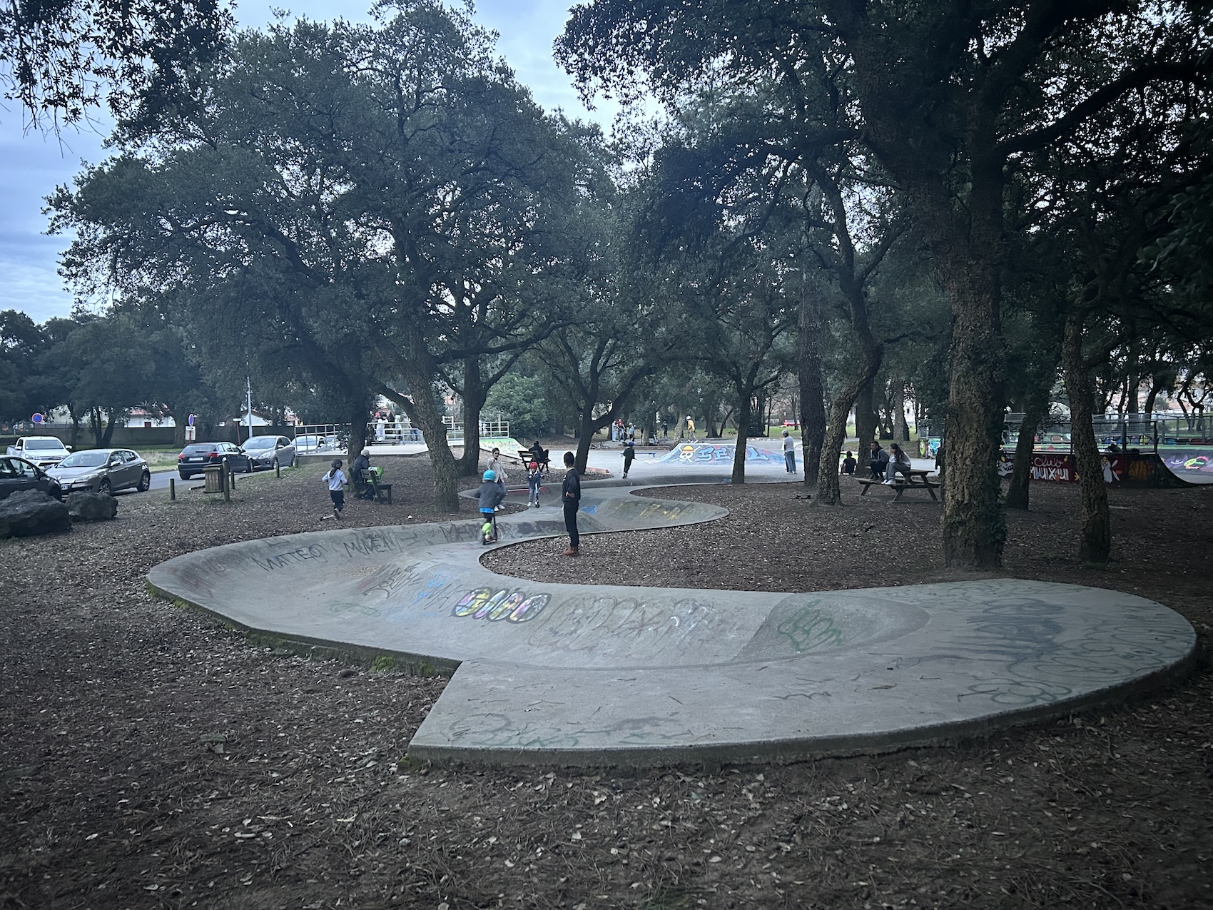 Tarnos skatepark